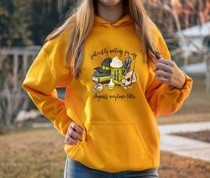 Wizard Hogwarts Houses Shirts , Harry Potter Sweatshirts, Bookish Shirt